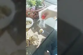 好技能！小时候我跟我姐吃核桃夹坏一个门视频封面