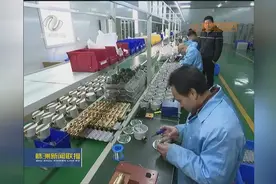 黄兰香来株洲调研非公经济发展情况