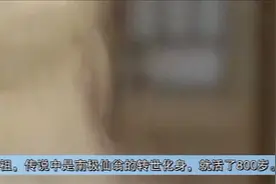 跨越三个朝代活了443岁的奇人：揭秘菜篮公陈俊的传奇人生！视频封面
