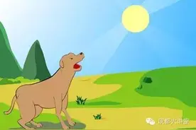 与四川相关的成语知多少？图片