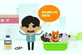 如何正确挑选适合自己的狗狗图片