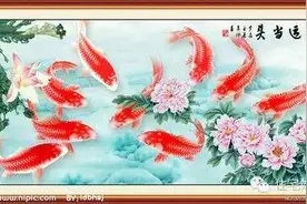 旺宅吉祥物的摆放，为什么蟾蜍头向屋内，而貔貅一定要向着屋外？图片