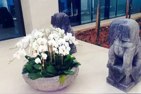 涵碧楼给你的爱，一万个暖男都给不了图片