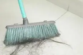 地面毛发太多？老妈用了这招，就彻底干净了！图片