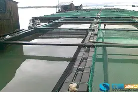 筏钓技巧!图片