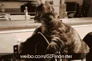 搞笑精选：我擦这是在玩命啊图片