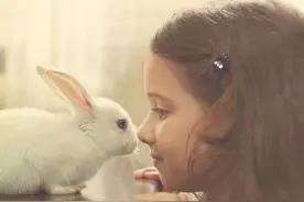 宠物和小宝宝们的互动~看着心都萌化了~最后一个是什么鬼~图片