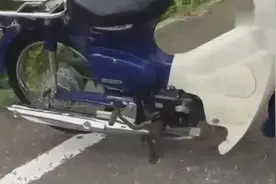 500买的这辆本田小摩托，发动机很省油但是马力小，赚大了视频封面