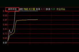 中央一号文件发布，乡村振兴概念股逆市飙升图片