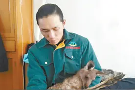 赵海龙和他的袋鼠“宝宝”图片