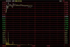 浪莎股份上市20年未分红 监管层喊话铁公鸡图片