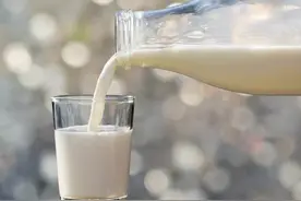 辟谣｜尿路结石患者不能喝牛奶，也不能吃菠菜？图片