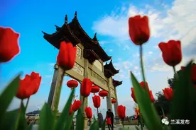 所有人，兰溪新春文化盛宴已经起航，这份丰盛的文化菜单您收好！图片
