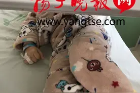 孩子手指上拔根倒刺，用创口贴贴了一下差点截指图片