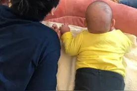 董子健和女儿玩具争宠 大福后脑勺肉乎乎超软萌图片