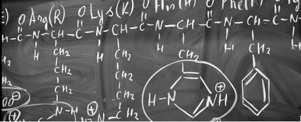 生命为什么需要那么多氨基酸？