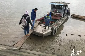 走进南海桂城对江沙岛：位于广佛交界的“原始丛林”图片