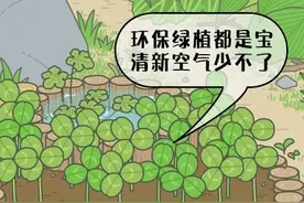 “旅行青蛙攻略” 揭秘呱儿子的真实身份图片