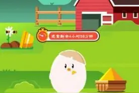 蚂蚁庄园怎么偷吃好友的饲料 蚂蚁庄园小鸡偷吃规律图片