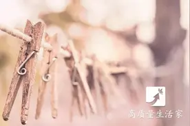 10块钱的晒衣夹，竟被用出超过千元的效果！图片