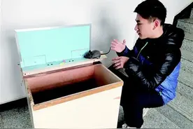 武汉高中生发明捕鼠神器登上央视图片