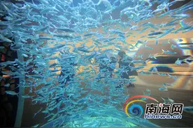 探访三亚·亚特兰蒂斯“失落的空间” 追溯神秘传说图片