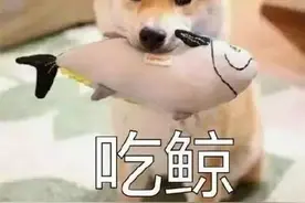 生肖到底从哪天开始算？原来有这些说法图片