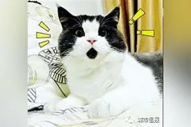 还记得青岛保利叶公馆“砸门哥”？这件买卖合同纠纷案有了最终结果图片