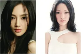 娱乐圈中撞脸的明星，李小璐常被误认为周迅图片