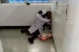 怀孕护士坐地工作照火了，但同行却哭了！是谁让天使负重前行？图片