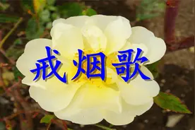 一首《戒烟歌》送给所有抽烟的朋友，为了家庭小孩请尽早戒烟！