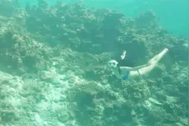 美女海底潜水美若人鱼！在绚丽的海底玩花样潜水，真是美不胜收！视频封面