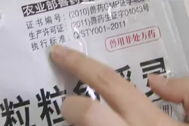 神秘白色粉末能让鱼“起死回生”？兽药“鱼浮灵”到底有没有毒视频封面