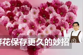 送女友的玫瑰放不了几天？加几滴这个，可以延长开花！视频封面
