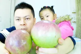 父女试吃火遍网络的“牛奶果”，牛奶果里真的有牛奶吗？视频封面