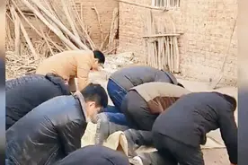北方农村大年初一年俗，男女老少给长辈磕头拜年，年味十足视频封面