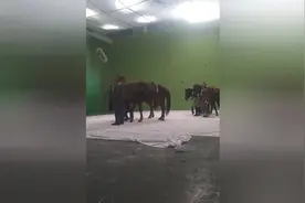 电视剧里的雪景原来是这样拍的视频封面