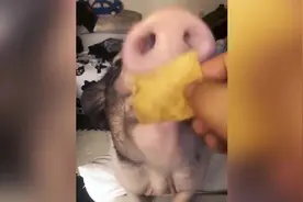 给女朋友喂薯片的样子，发给你们女朋友