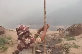 国外知了成灾，密密麻麻看看到底有多恐怖！