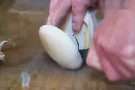 鲜活的大海螺，看看日本厨师是怎么把肉掏出来的 !视频封面