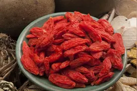 孩子吃枸杞好吗图片