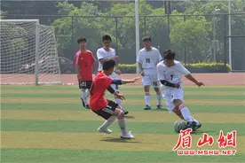 眉山市中小学生足球联赛高中组决赛在仁寿开赛图片