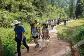 网媒总编登爱情天梯 要用镜头向网友讲述当代爱情传奇图片