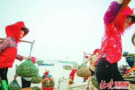 揭秘福建三大渔女民俗蟳埔阿姨 头戴鲜艳头巾打渔图片