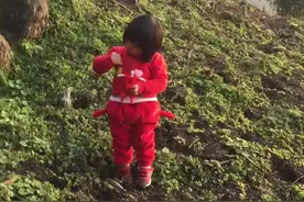 寻找野葱葱，泸州叙永两河镇视频封面