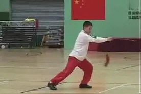 杨式太极剑 付清泉，动作干净漂亮，美观！视频封面