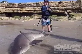 男童初学钓鱼竟钓出来这家伙，还抱着血盆大口合了影！图片