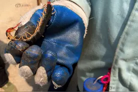 安徽巢湖女“药农”翻山越岭用铁锄捉蜈蚣图片