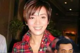 赵文卓哽咽追忆前女友梅艳芳 此生最爱是梅艳芳图片