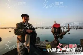 山东荣成渔民靠海吃海“地笼”捕捉海鲜致富图片